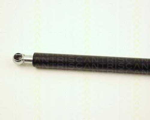Amortecedor de tampa de porta-malas (de 3ª/5ª porta traseira) Triscan 871025220 preço, a partir de 14,72 USD