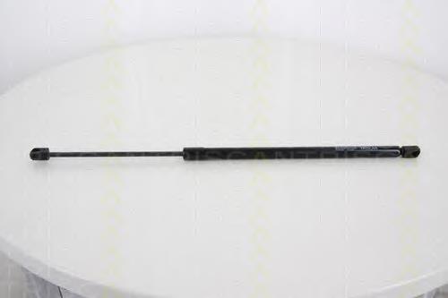 Amortecedor de tampa de porta-malas (de 3ª/5ª porta traseira) 10100396 Depo/Loro/Abakus