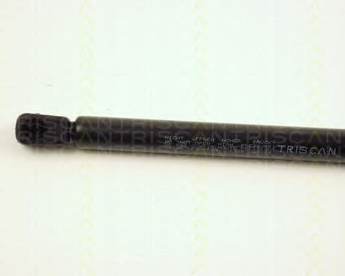 Amortecedor de tampa de porta-malas (de 3ª/5ª porta traseira) Triscan 871025206