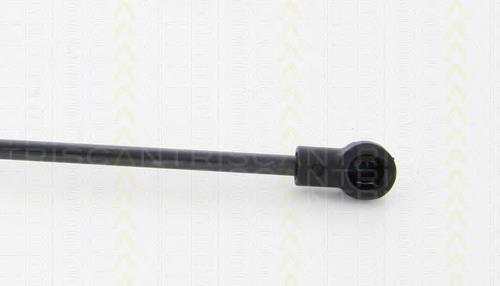 Amortecedor de tampa de porta-malas (de 3ª/5ª porta traseira) GS0177 Magneti Marelli