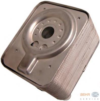 Radiador de óleo (frigorífico), debaixo de filtro 038117021ES1 VAG