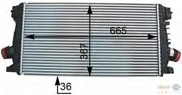 8ML376777281 HELLA Radiador de intercooler