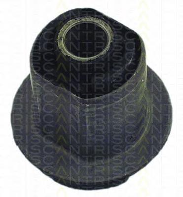 Bloco silencioso de viga traseira (de plataforma veicular) 031169 Cautex