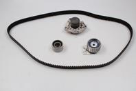 Correia do mecanismo de distribuição de gás Continental/Siemens CT1076 preço, a partir de 45,66 USD