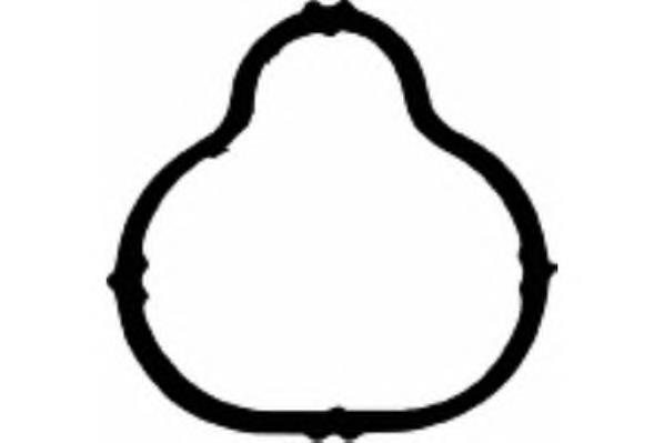 Vedante de tubo coletor de admissão Ajusa 13179300