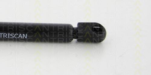 Compre 10100802 Depo/Loro/Abakus Amortecedor de tampa de porta-malas (de 3ª/5ª porta traseira)