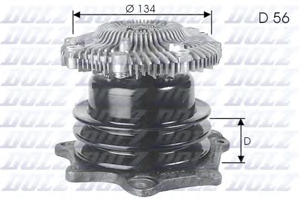 N144 Dolz