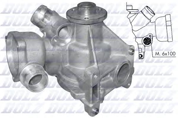 M177 Dolz