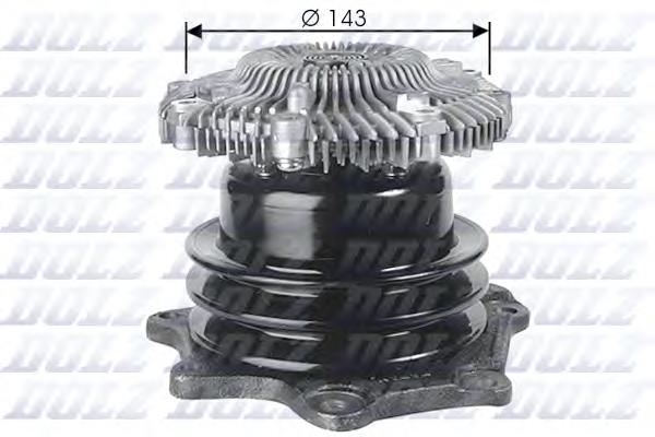 N143 Dolz
