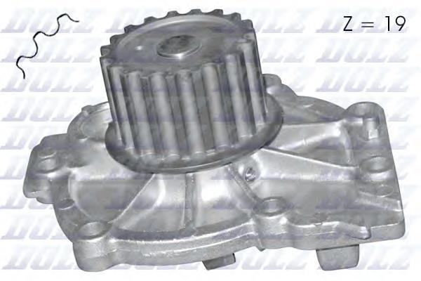 R304 Dolz