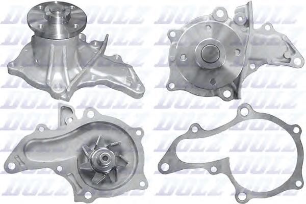 T246 Dolz