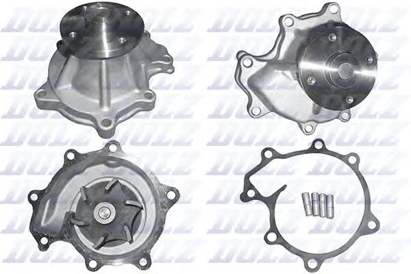 N156 Dolz