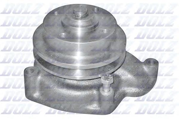 P303 Dolz