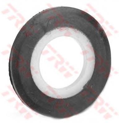  Metalcaucho 00977
