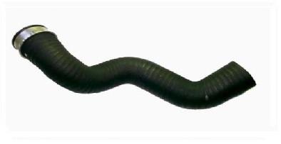 Mangueira (cano derivado) de intercooler 76399 Asam