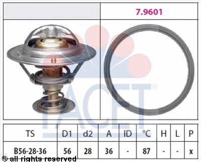 WV56FA88 Tama Termostato