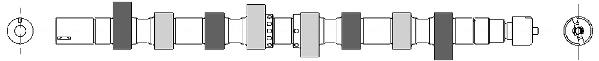 661894 AMC Árvore distribuidora de motor