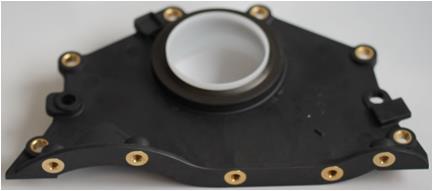 819005700 Victor Reinz Tampa de motor dianteira