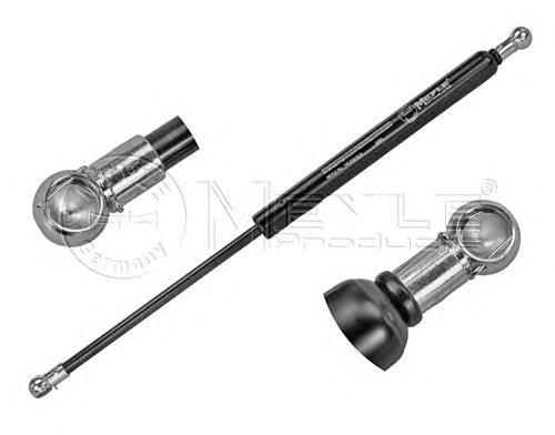7S71F406A10AF Ford Amortecedor de tampa de porta-malas (de 3ª/5ª porta traseira)