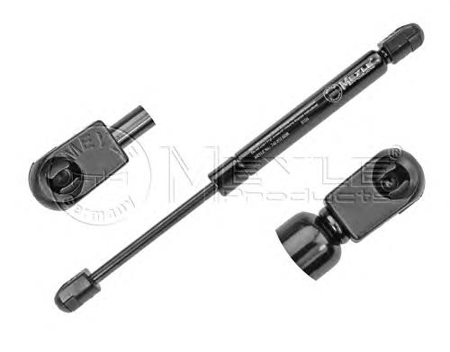 Amortecedor de tampa de porta-malas (de 3ª/5ª porta traseira) Ford 1692162 preço, a partir de 29,88 USD
