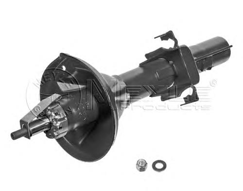 1104307 Ford Amortecedor traseiro