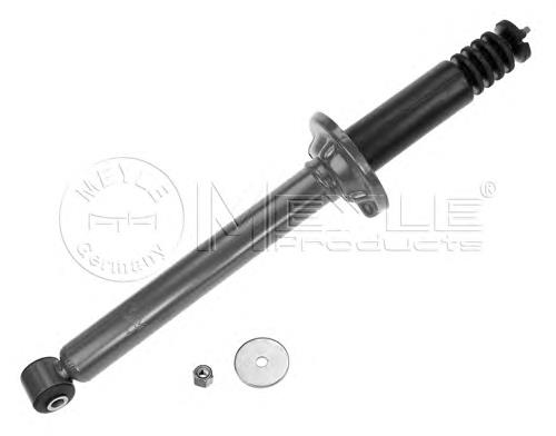 1106738 Ford Amortecedor traseiro