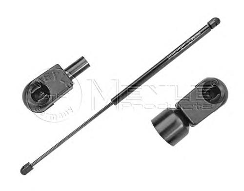 3M51R406A10AC Ford Amortecedor de tampa de porta-malas (de 3ª/5ª porta traseira)