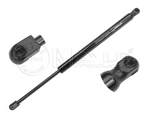 XS41A406A10AE Ford Amortecedor de tampa de porta-malas (de 3ª/5ª porta traseira)