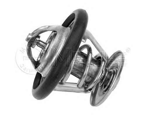 Termostato 6169774 Ford