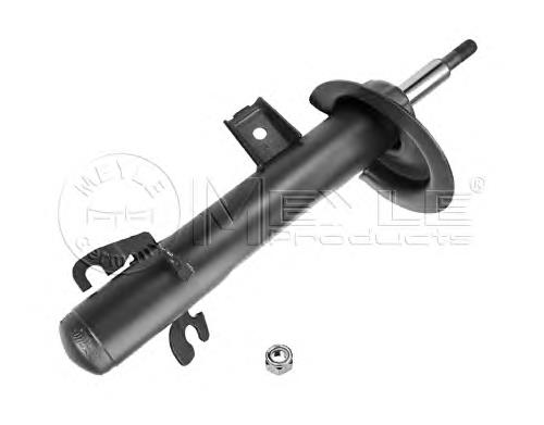 31306759245 BMW Amortecedor dianteiro esquerdo