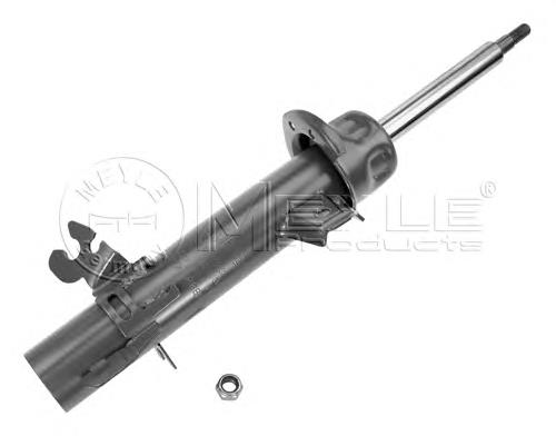 31316782209 BMW Amortecedor dianteiro esquerdo