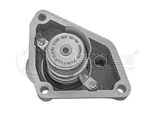 Termostato 212004W010 Nissan/Infiniti