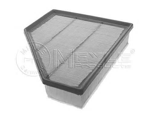 1371779746 BMW Filtro de ar
