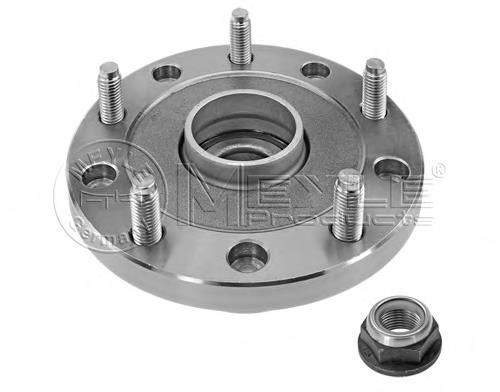 1756721 Ford Cubo traseiro