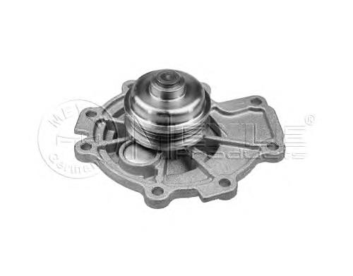 Compre 5191315 Ford Bomba de água (bomba) de esfriamento