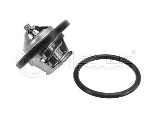 D153O01 NPS Termostato