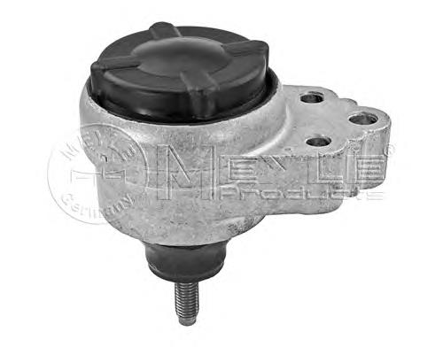 080225 Cautex Coxim (suporte) direito de motor