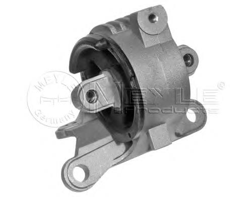 Compre 080153 Cautex Coxim (suporte) esquerdo de motor