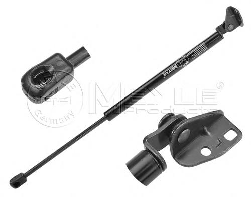 ML5987 Monroe Amortecedor de tampa de porta-malas (de 3ª/5ª porta traseira)