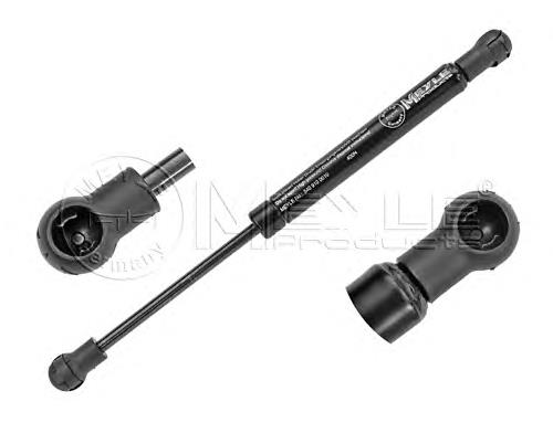 Amortecedor da capota SKGS0220347 Market (OEM)