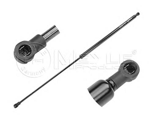 ZS03098 Japan Parts Amortecedor da capota