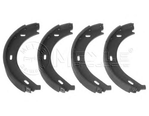Compre 491911 Diesel Technic Sapatas do freio de estacionamento
