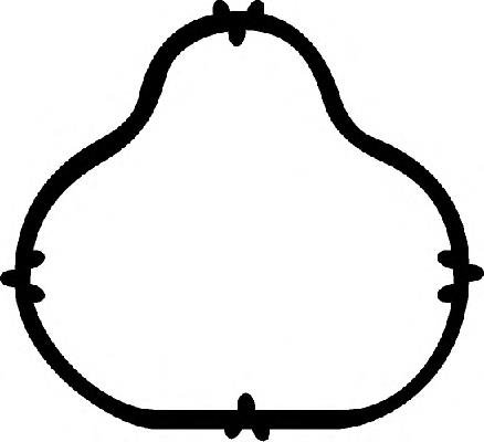 13179300 Ajusa Vedante de tubo coletor de admissão