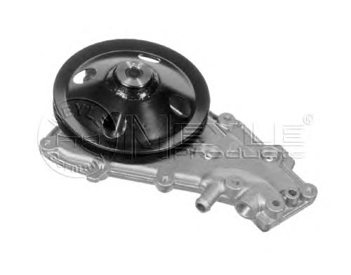 Compre 7701466419 Renault (RVI) Bomba de água (bomba) de esfriamento