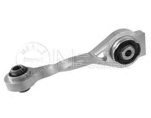 8200493821 Renault (RVI) Coxim (suporte) traseiro de motor