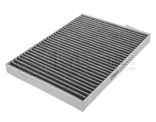 Filtro de salão Renault (RVI) 8660003806