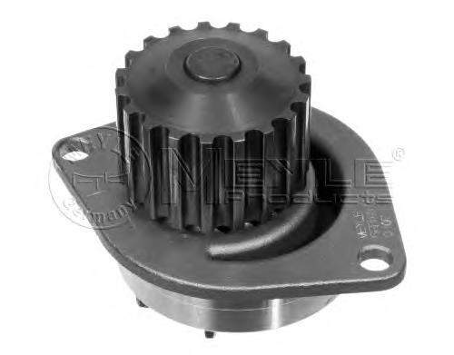 Compre 1609525980 Peugeot/Citroen Bomba de água (bomba) de esfriamento