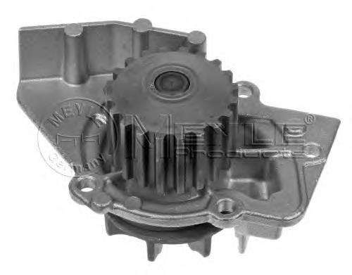 Compre 1609402380 Peugeot/Citroen Bomba de água (bomba) de esfriamento