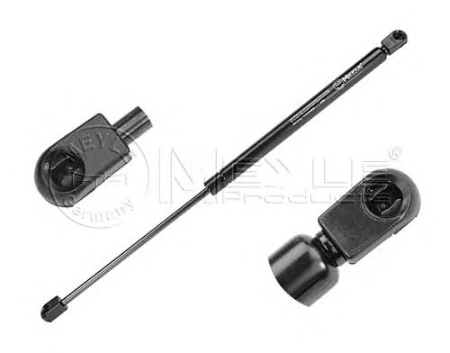 9638605280 Peugeot/Citroen Amortecedor de tampa de porta-malas (de 3ª/5ª porta traseira)