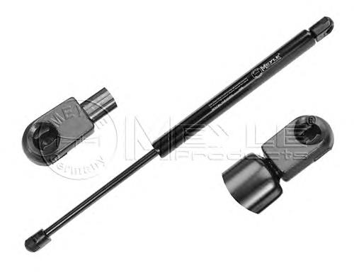 873183 Peugeot/Citroen Amortecedor de tampa de porta-malas (de 3ª/5ª porta traseira)